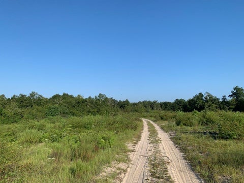 Tiny photo for 0 S Carpenter Rd, Tifton, GA 31793 (MLS # 132988)