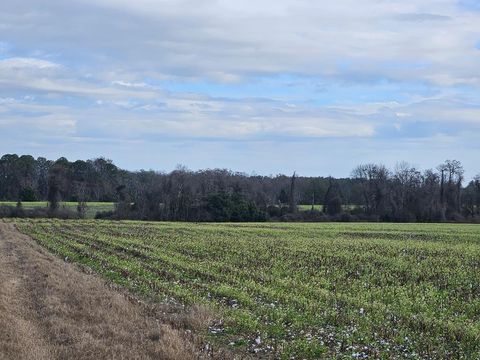 Photo of 0 Garrett Road, Ashburn, GA 31714 (MLS # 141306)