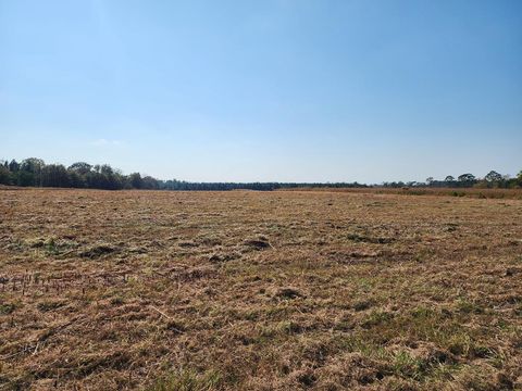 0 Frank Rd ( Swan Rd ) Lot 8 Fitzgerald GA 31750
