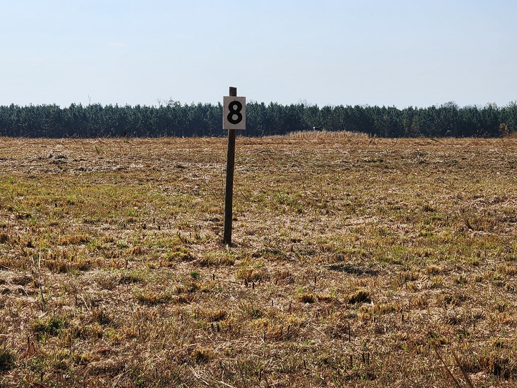 0 Frank Rd ( Swan Rd ) Lot 8
