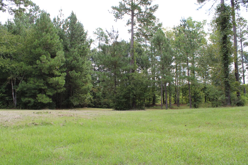 0 STURGEON CREEK RD LT 3