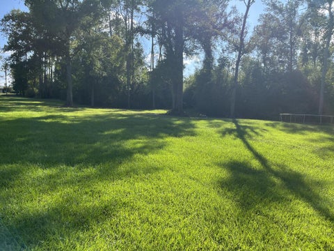 Tiny photo for 517 Winchester Drive, Douglas, GA 31535 (MLS # 143127)