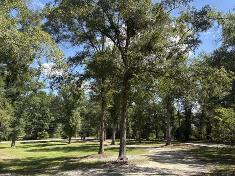 Tiny photo for 517 Winchester Drive, Douglas, GA 31535 (MLS # 143127)