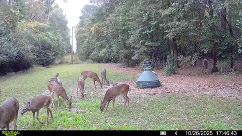 Tiny photo for 0 N Jefferson St, Ashburn, GA 31714 (MLS # 139042)