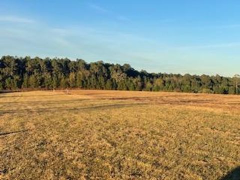 00 Holt Rd Wray GA 31798