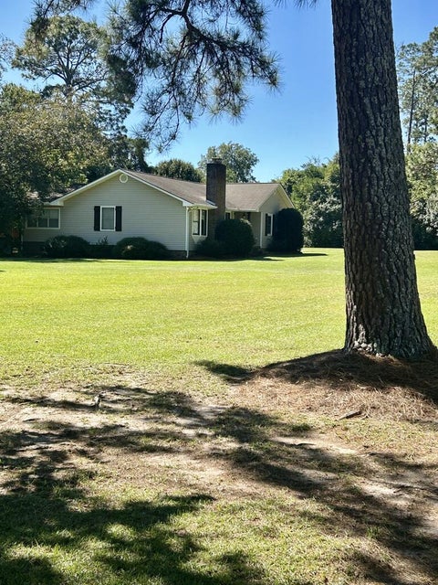 Tiny photo for 809 Upper Ty Ty Road, Ty Ty, GA 31795 (MLS # 143225)