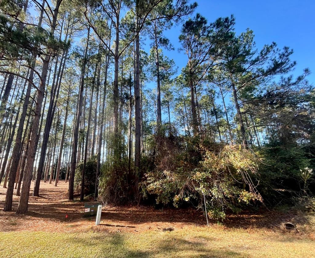 115 Northlake