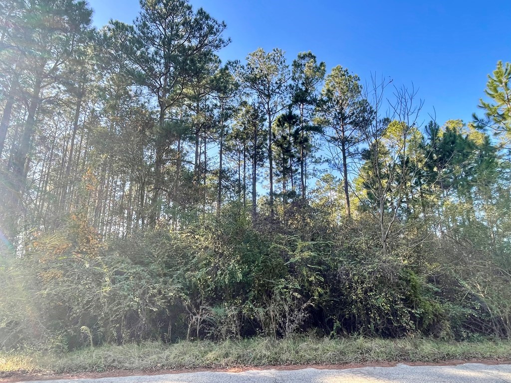115 Northlake