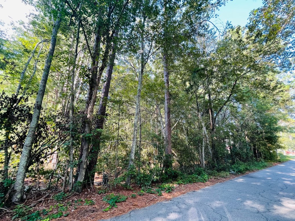 0 Forest Lake Drive