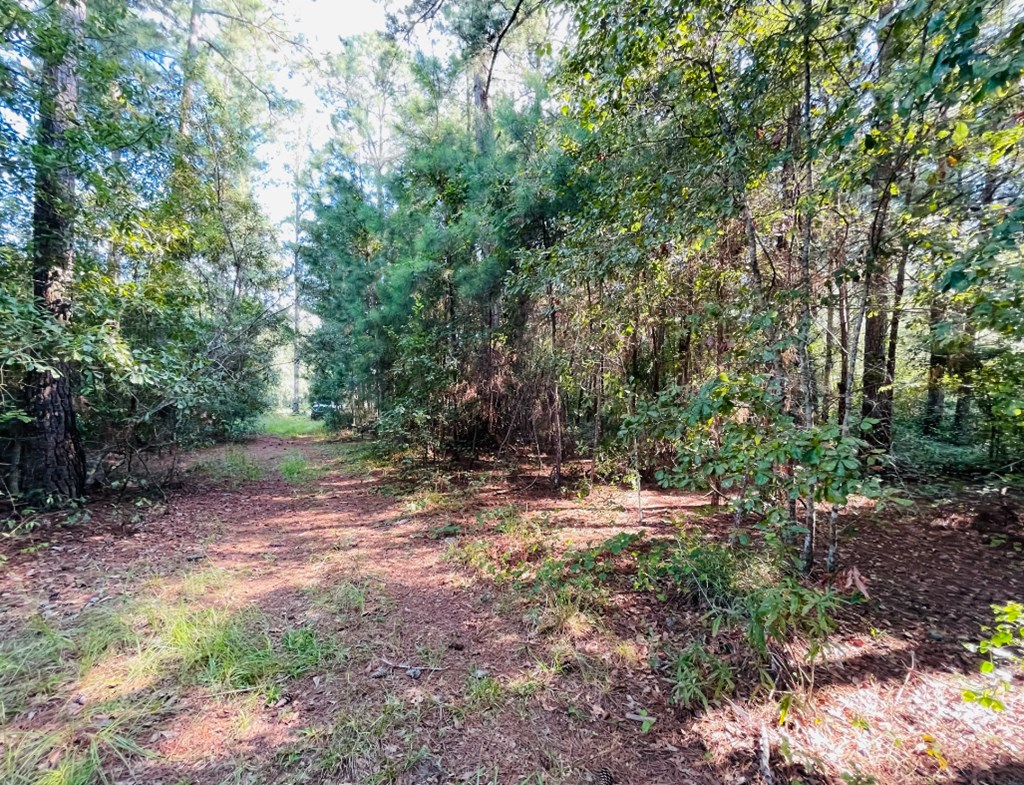 0 Forest Lake Drive