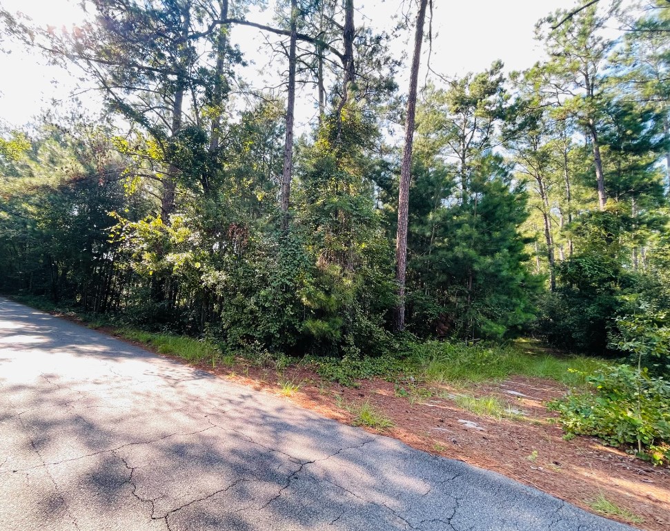 0 Forest Lake Drive