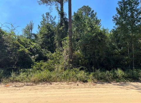 0 Largemouth Drive Sylvester GA 31772