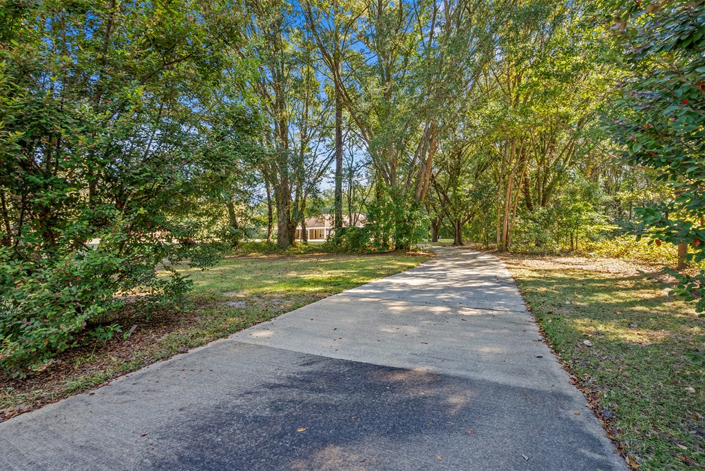 207 Joe Toole Drive
