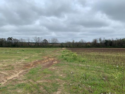 Tiny photo for 0 W Hutchinson Rd, Tifton, GA 31793 (MLS # 129573)