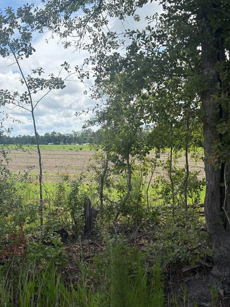1240 B B.A. Warren Road