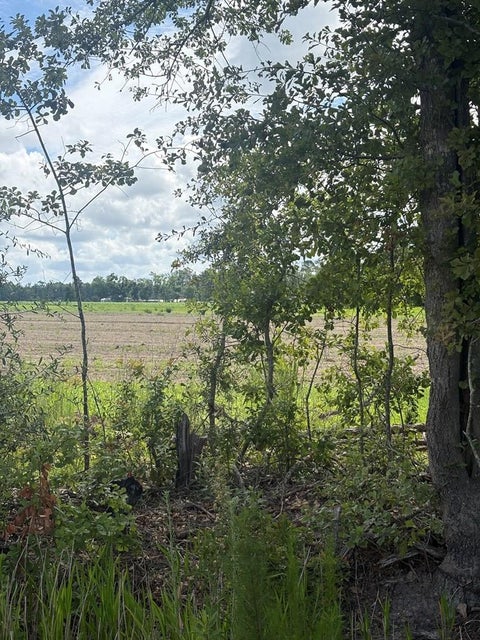 Tiny photo for 1240 B.A. Warren Road, Nashville, GA 31639 (MLS # 142762)