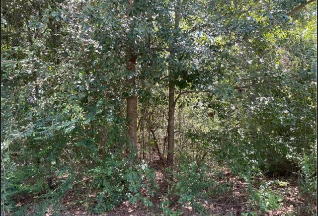 0 Forest Lake Dr