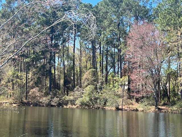0 Forest Lake Dr