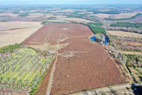 0 Frank Road Ocilla GA 31774