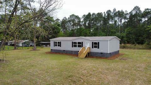Photo of 4561 Buffalo Creek Dr, Nahunta, GA 31553 (MLS # 142494)