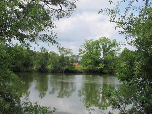 0 Carpenter Place