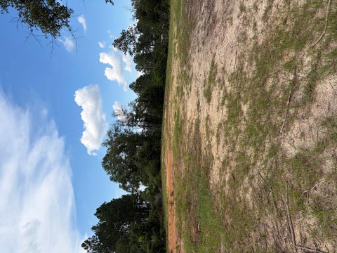 Tiny photo for 57 Lakeside Dr, Tifton, GA 31637 (MLS # 142863)
