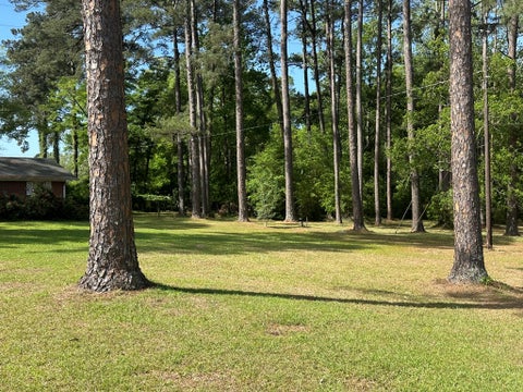 Tiny photo for 185 Kell Road, Tifton, GA 31793 (MLS # 142518)
