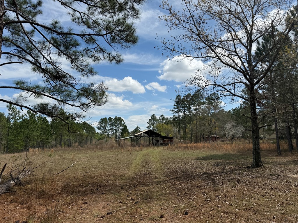 642 Sturgeon Creek Church Road