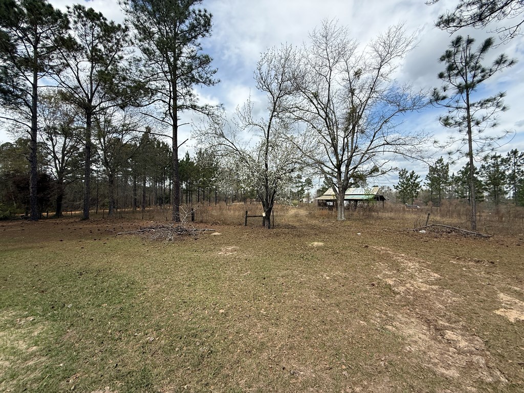 642 Sturgeon Creek Church Road