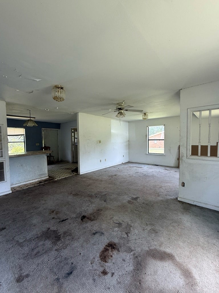 117 Branch Drive