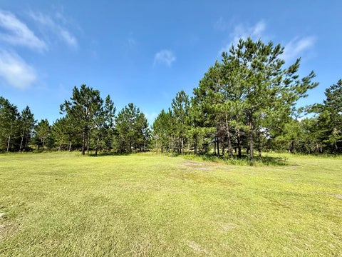 Tiny photo for 13 Ethridge Rd, Tifton, GA 31793 (MLS # 142615)