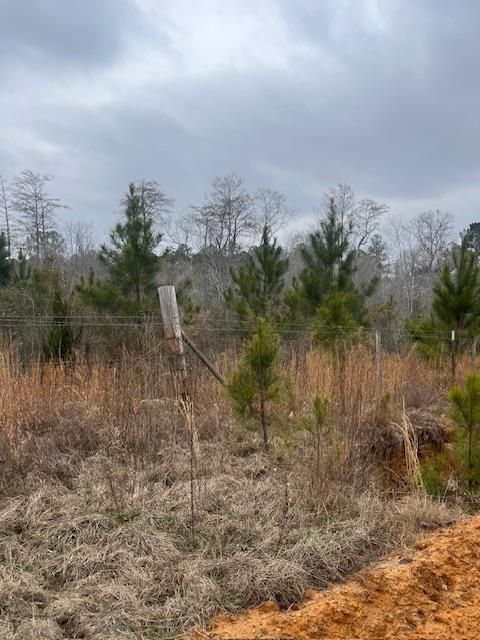 0 Jacksonville Hwy Fitzgerald GA 31750