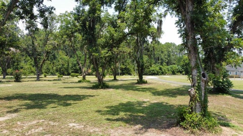 Tiny photo for 3411 Bob Bowen Rd, Blackshear, GA 31516 (MLS # 143057)