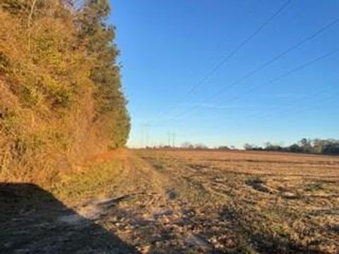 Photo of 00 Holt Rd (25 acres), Wray, GA 31798 (MLS # 139150)