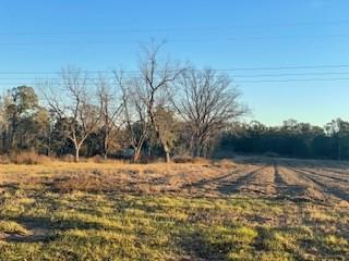 00 Holt Rd (25 acres)