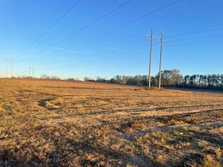 00 Holt Rd (25 acres)