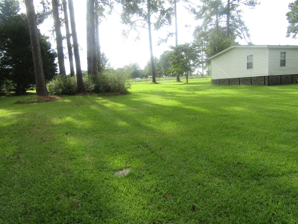 196 Griffin Houston Rd.