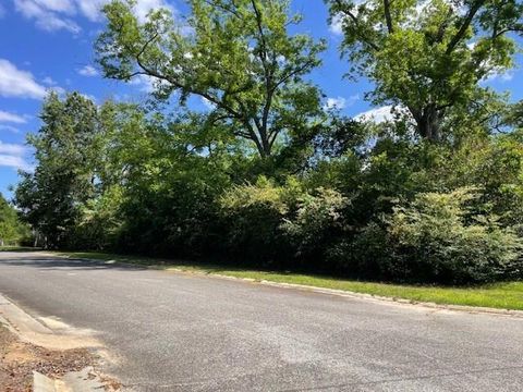 0 Warren St Ocilla GA 31774