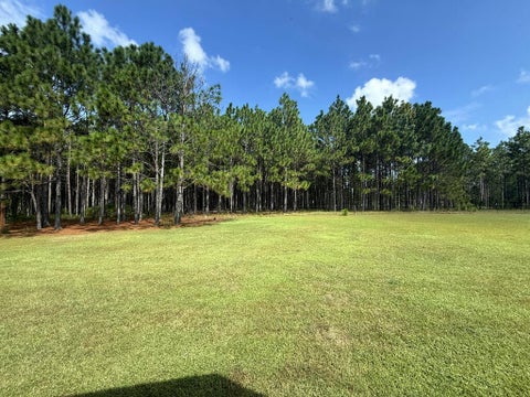 Tiny photo for 907 Lower Rebecca Road, Fitzgerald, GA 31750 (MLS # 143133)