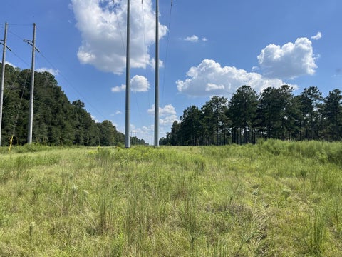 Tiny photo for 0 Whiddon Mill Rd, Tifton, GA 31793 (MLS # 143167)