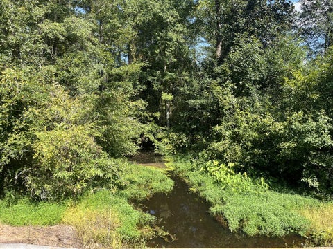 Tiny photo for 0 Whiddon Mill Rd, Tifton, GA 31793 (MLS # 143167)