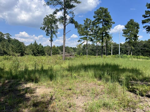 Photo of 0 Whiddon Mill Rd, Tifton, GA 31793 (MLS # 143167)