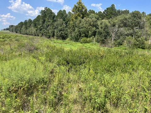 Tiny photo for 0 Whiddon Mill Rd, Tifton, GA 31793 (MLS # 143167)