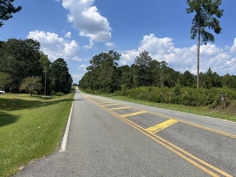 Tiny photo for 0 Whiddon Mill Rd, Tifton, GA 31793 (MLS # 143167)