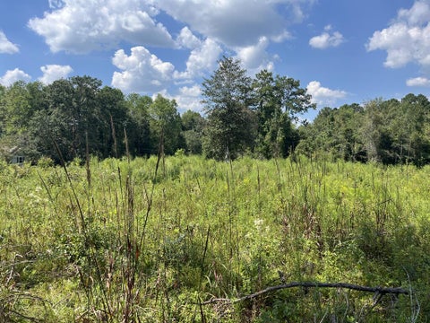 Tiny photo for 0 Whiddon Mill Rd, Tifton, GA 31793 (MLS # 143167)