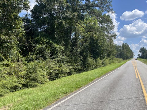 Tiny photo for 0 Whiddon Mill Rd, Tifton, GA 31793 (MLS # 143167)