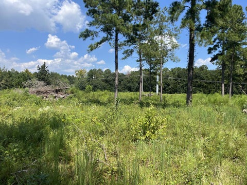 Tiny photo for 0 Whiddon Mill Rd, Tifton, GA 31793 (MLS # 143167)
