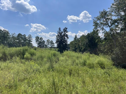 Tiny photo for 0 Whiddon Mill Rd, Tifton, GA 31793 (MLS # 143167)