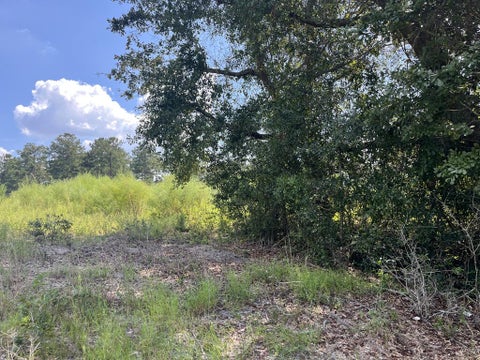Tiny photo for 0 Whiddon Mill Rd, Tifton, GA 31793 (MLS # 143167)