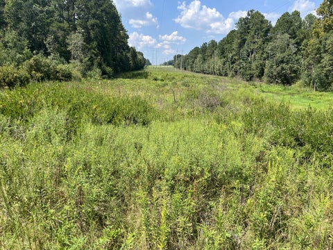 Tiny photo for 0 Whiddon Mill Rd, Tifton, GA 31793 (MLS # 143167)